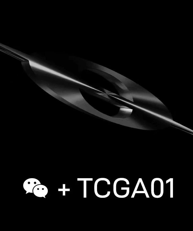 紫标牛皮拼接硫化低帮帆布板鞋休闲通勤厚底增高TERRAINCOGNITA