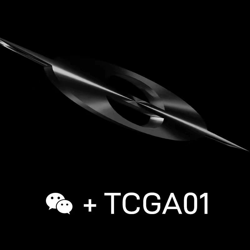 紫标牛皮拼接硫化低帮帆布板鞋休闲通勤厚底增高TERRAINCOGNITA